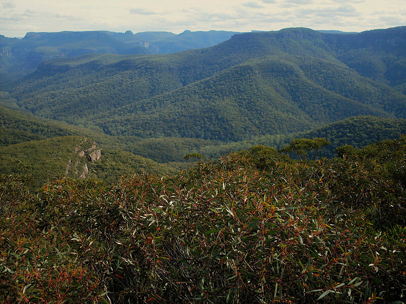 SDC12560 resized.JPG