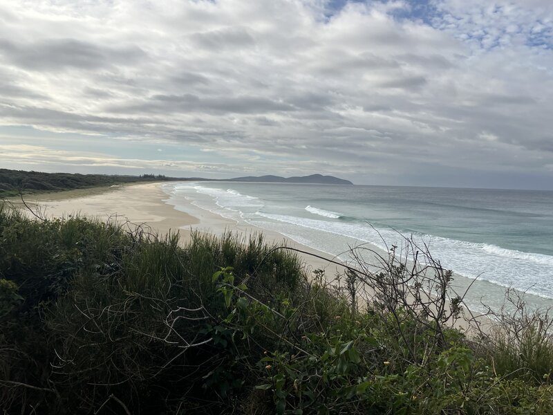 IMG_0699.jpeg