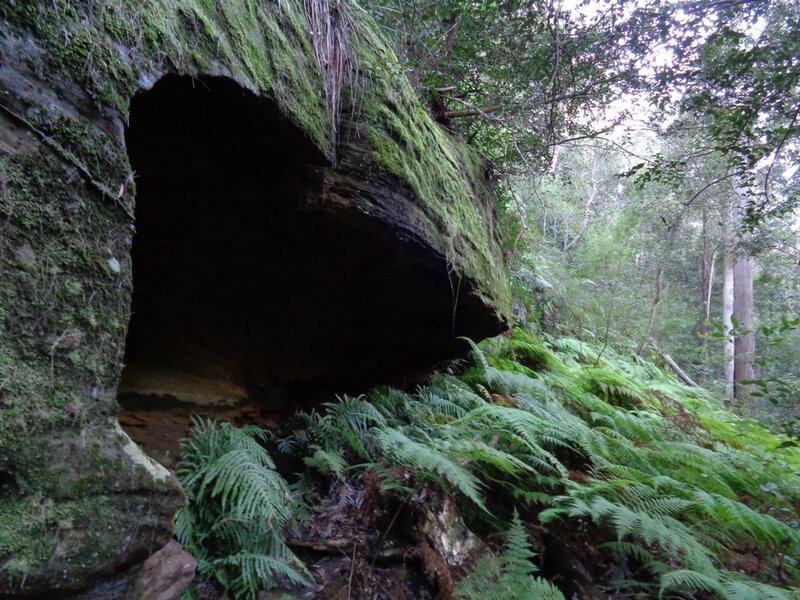 Shelter Cave.JPG