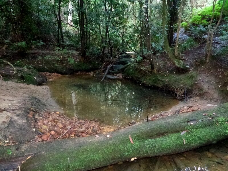 Pond on Pippas Pass.JPG