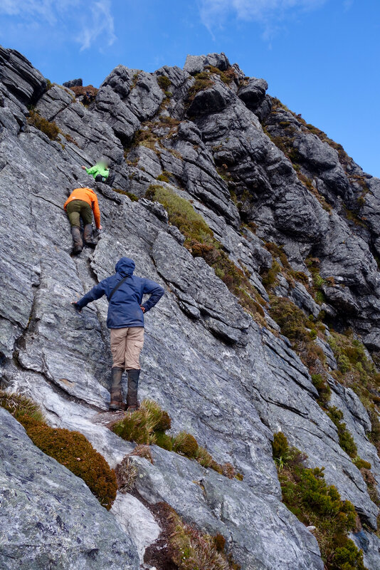 Vertical bushwalking.jpeg