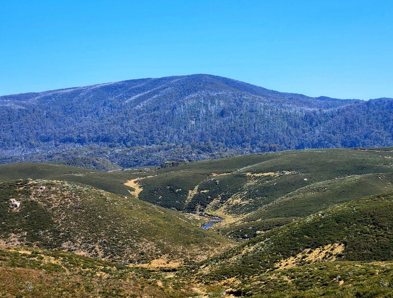 whereNSW (2).jpg