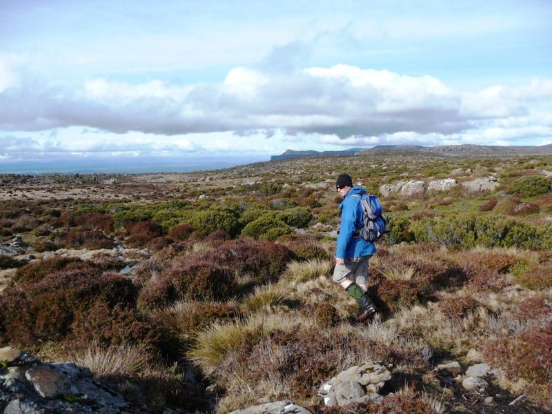 Higgs Track (8).jpg