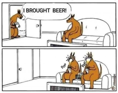 Kangaroo beer.jpg