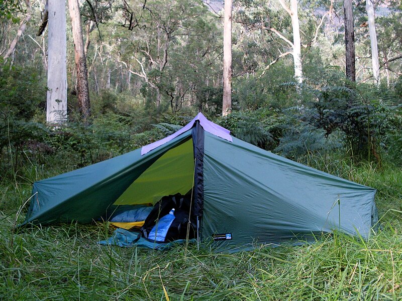 TN Laser Comp 1 Pole Sleeve setup.JPG