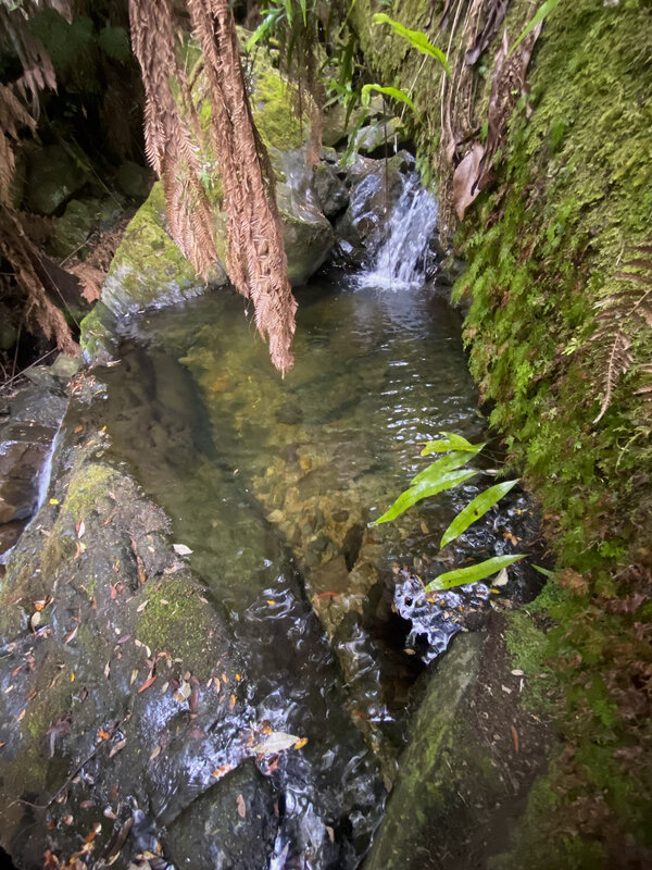 IMG_2566.jpg