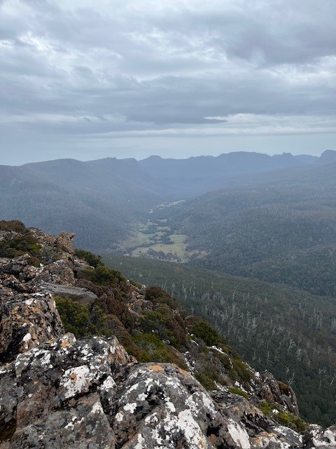 From Pillinger.jpg
