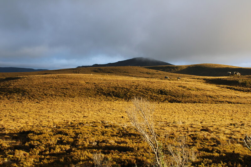 IMG_1353 (1).jpeg