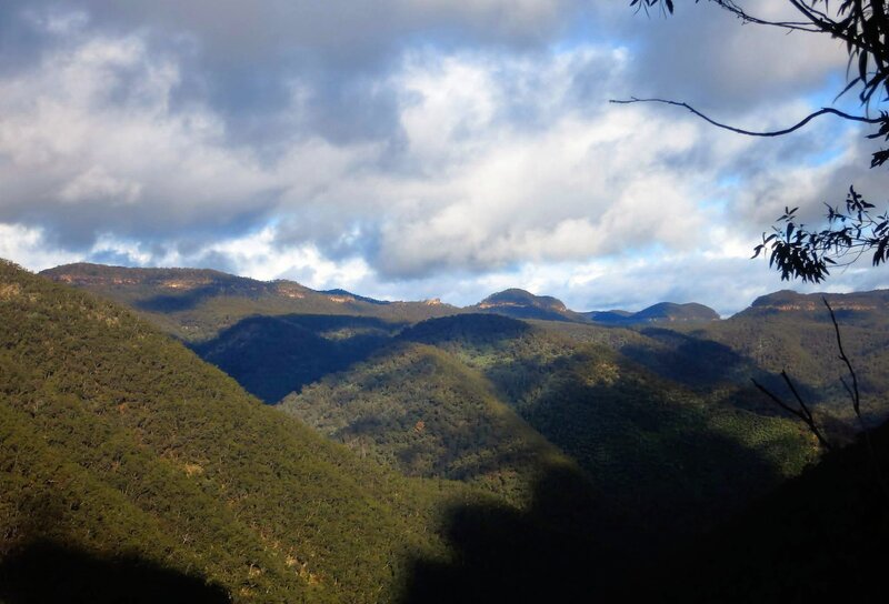 whereNSW.jpg