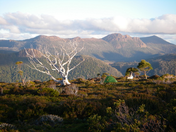 green_tent.JPG