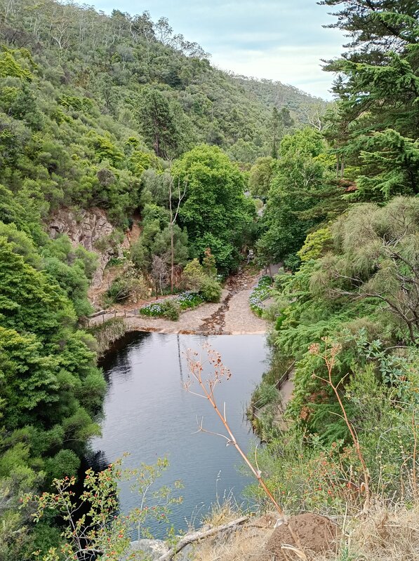 IMG_20250114_183944478_HDR~2.jpg