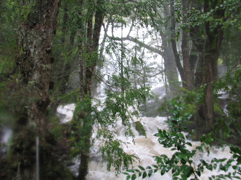 daisy lakes trip 049.JPG