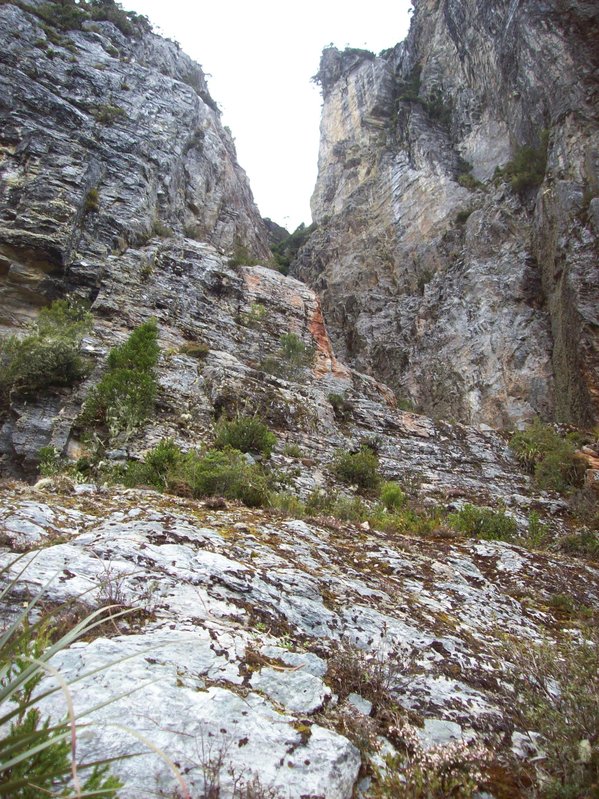 100_0282.JPG