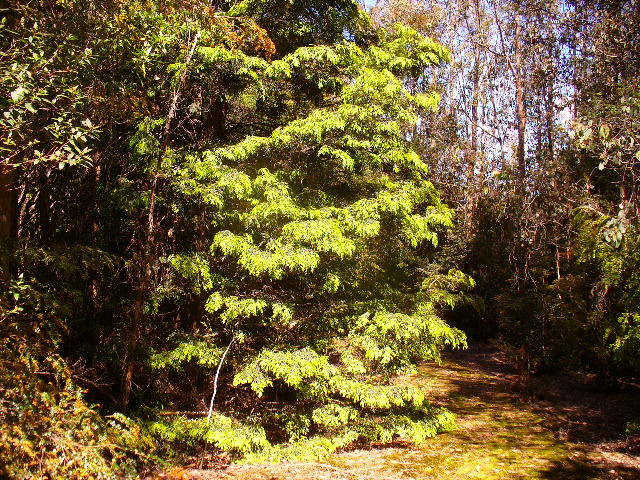 P1000573.JPG