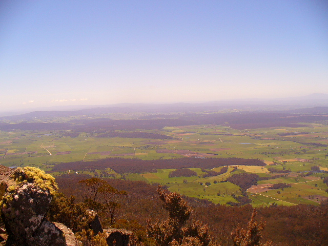 P1000561.JPG