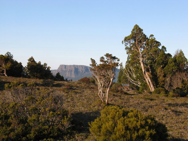 IMG_4462 Mt Oakleigh.JPG