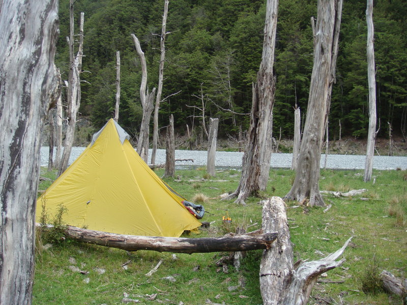 DSC04516.JPG