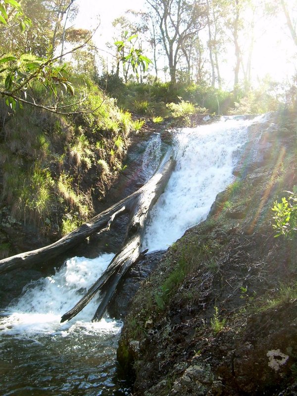 Kunderang Brook at Racecourse.JPG