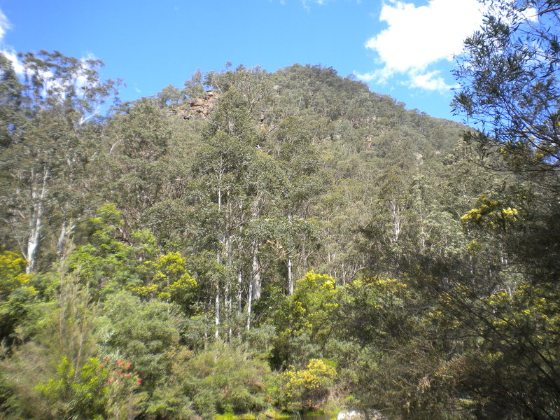 DSCN0818.JPG