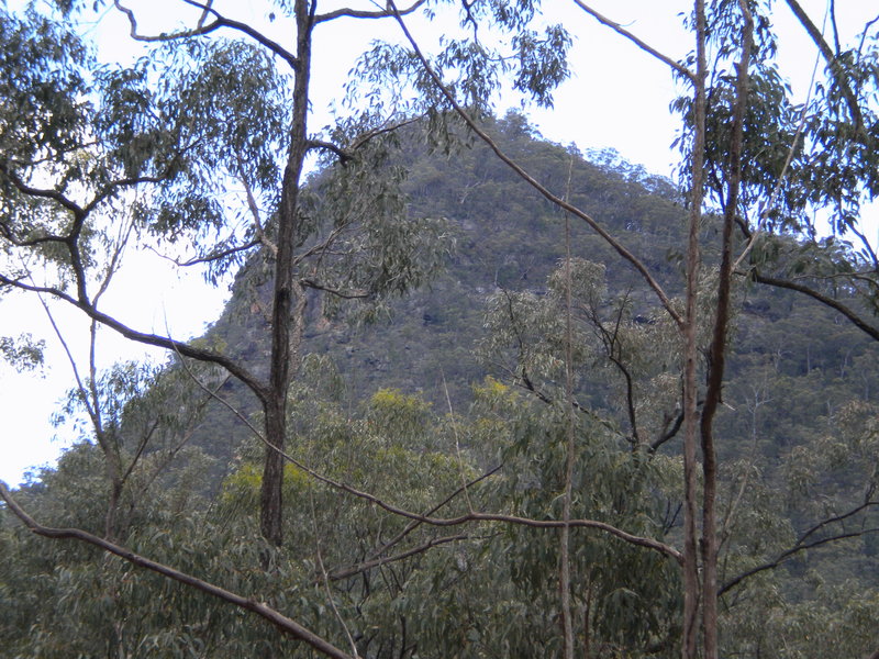 DSCN0812.JPG