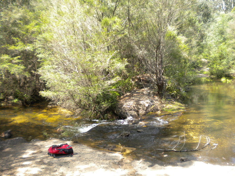 DSCN0816.JPG