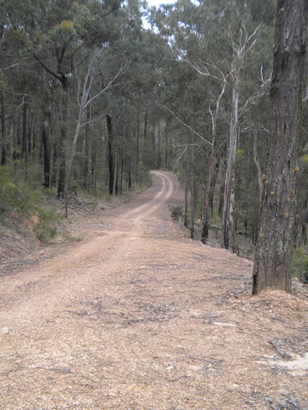 DSCN0810.JPG