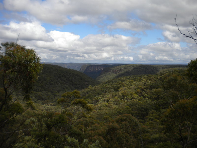 DSCN0895.JPG