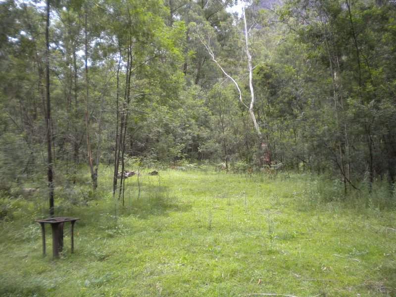 DSCN0910.JPG