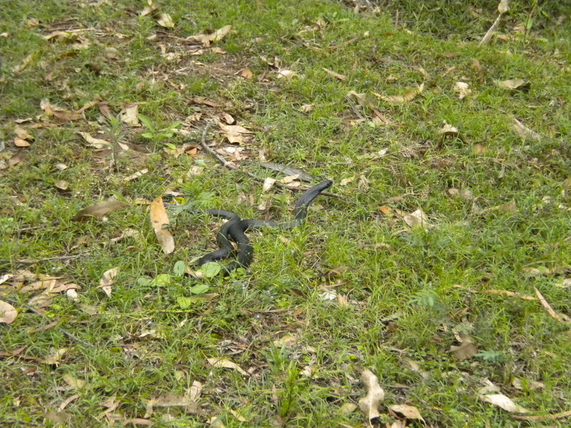 DSCN0909.JPG
