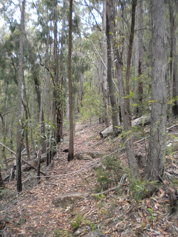 DSCN0922.JPG