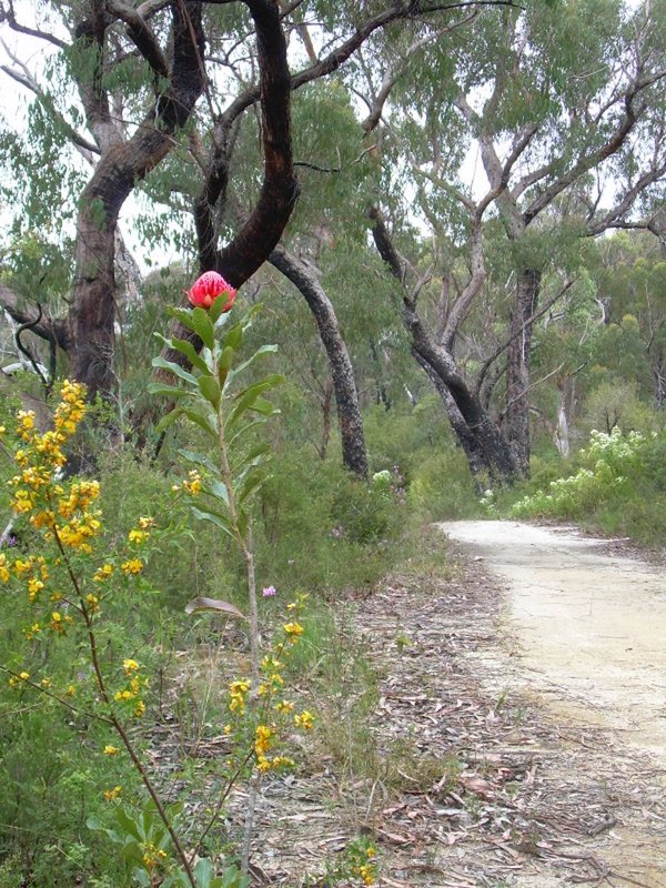 near boundary creek.JPG