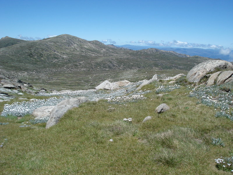 From Mt Townsend lkg across Wilkinsons Valley to Kosi.JPG