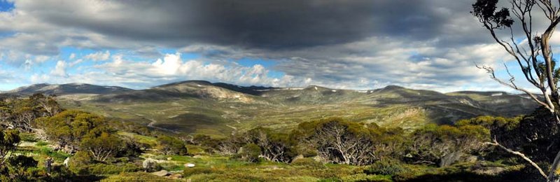 Charlotte Pass looking to the Main Range.jpg