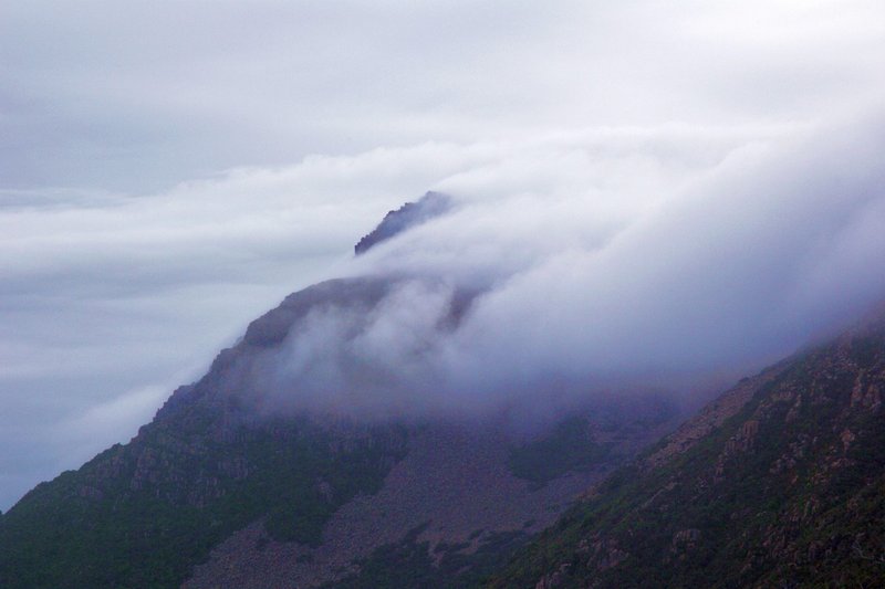 3847AnneShrouded.jpg