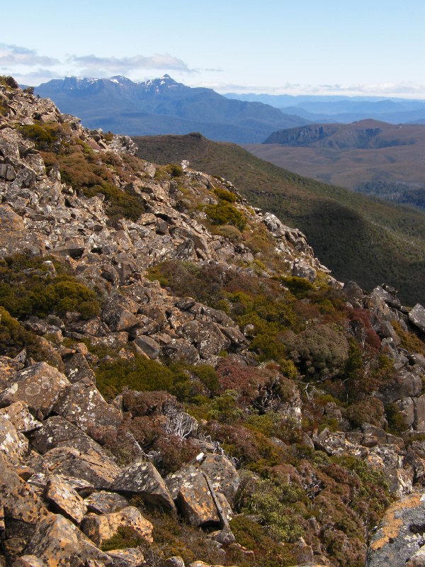 Mt Anne.JPG