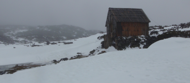 PA170037.JPG