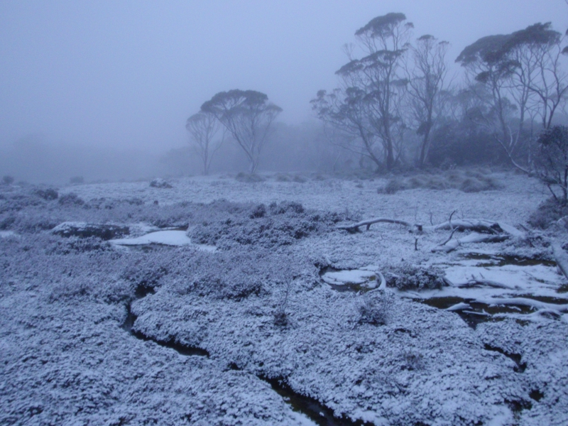 PA180108.JPG