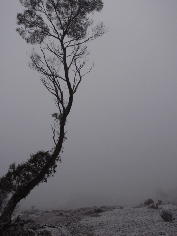 PA180112.JPG
