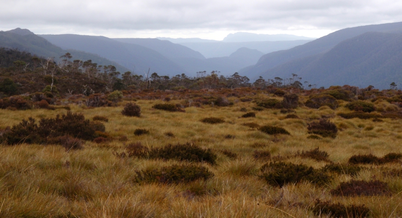 PA180120.JPG