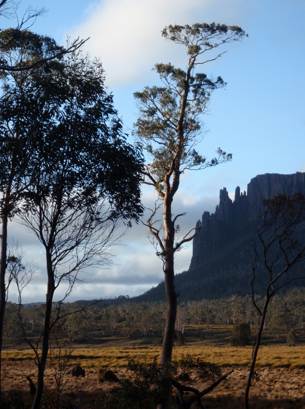 PA190149.JPG