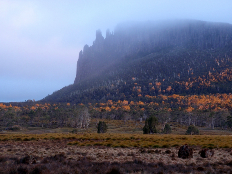PA190158.JPG