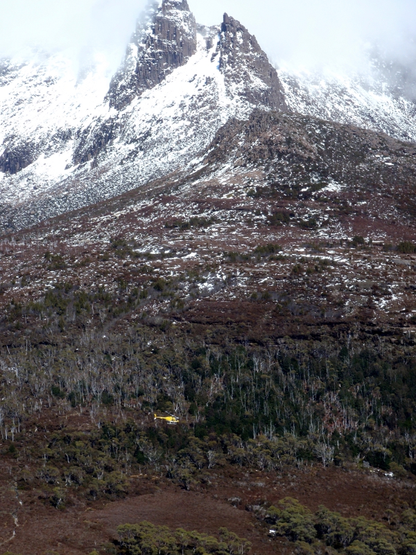 PA190165.JPG