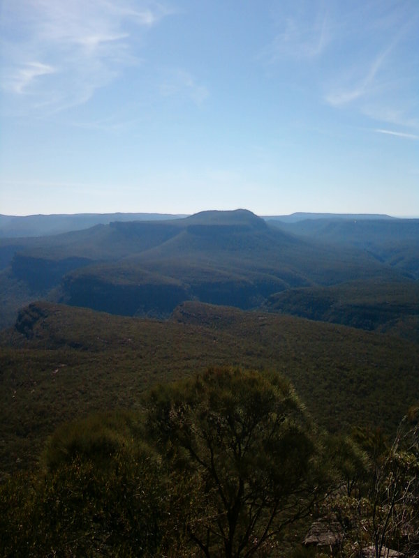 IMG0456.jpg