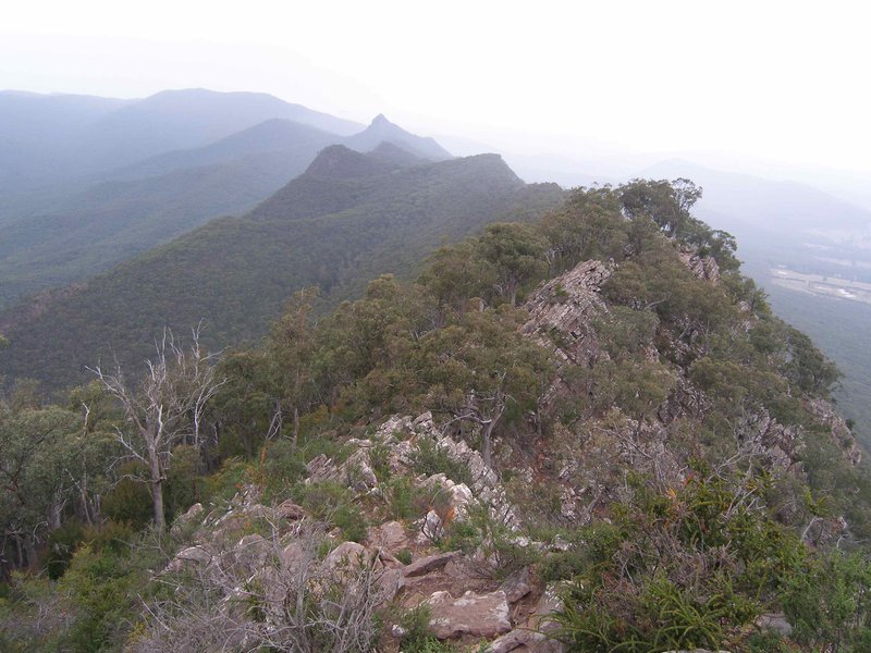 Picture1.jpg