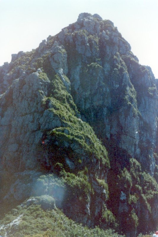 M1979B037.jpg
