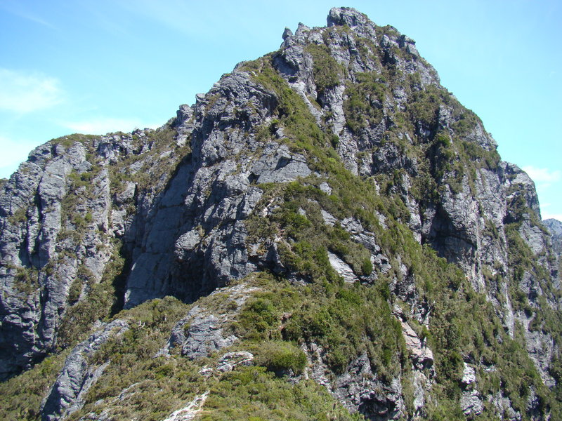 2009_11140282.JPG