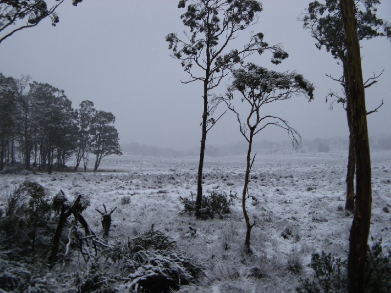 winter wonderland - in march.jpg