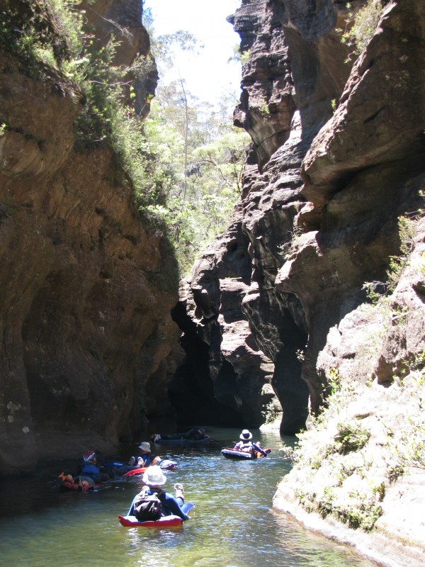 Now that's what I call bushwalking!.jpg