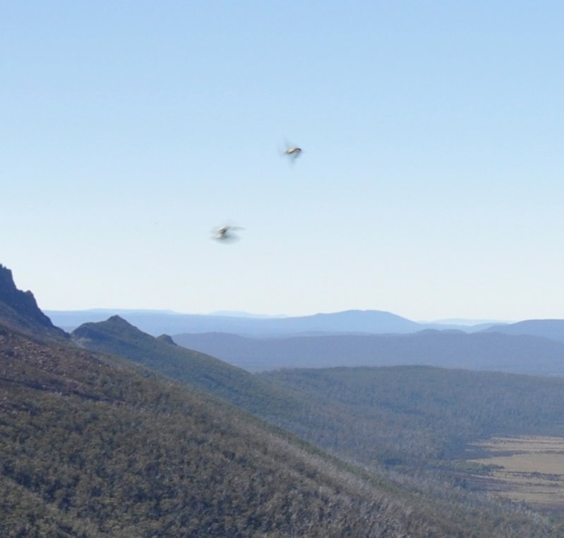 Mt Byron 012 crop.jpg