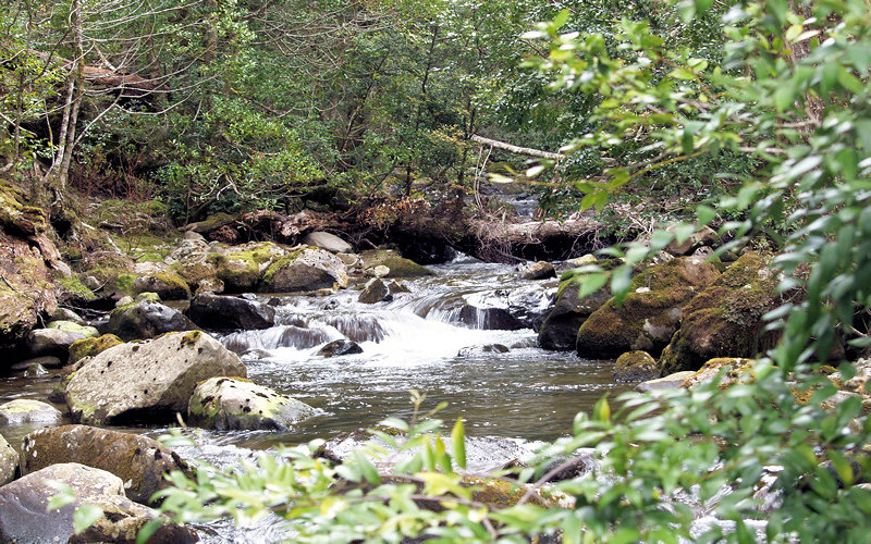 PC157773.JPG